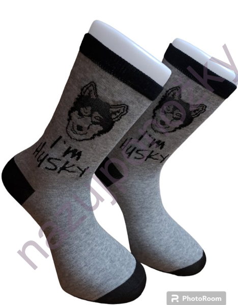 Pánské ponožky Husky (1)