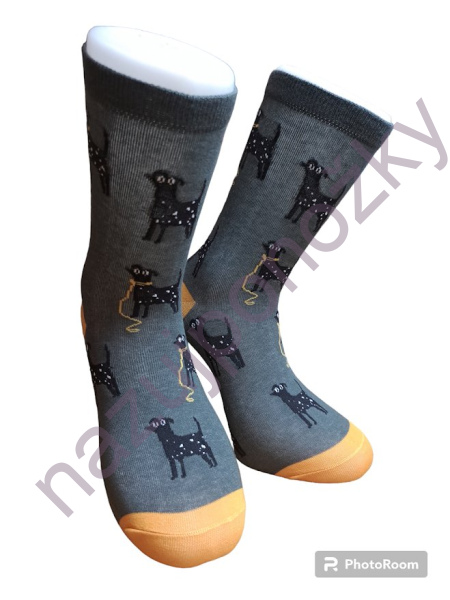Pánské ponožky Husky (1)