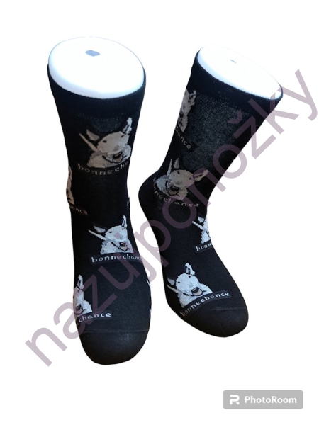 Pánské ponožky Bulterier (1)