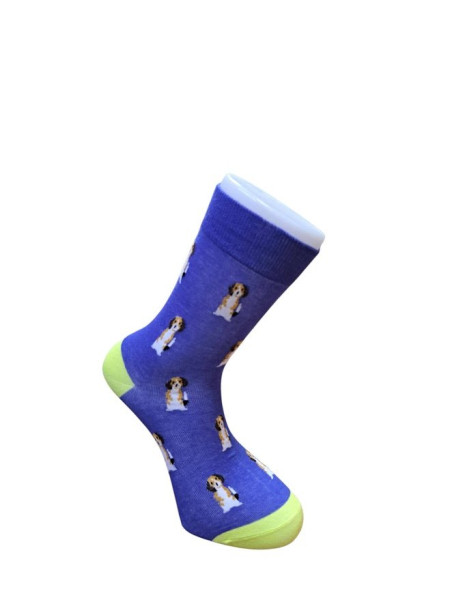 Veselé ponožky s motivem krokodýla (1)