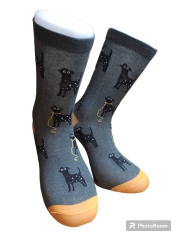 Aura Via Pánské ponožky s dalmatinem