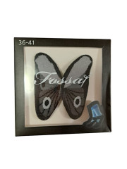 Fossa Dárkové ponožky – Motýl